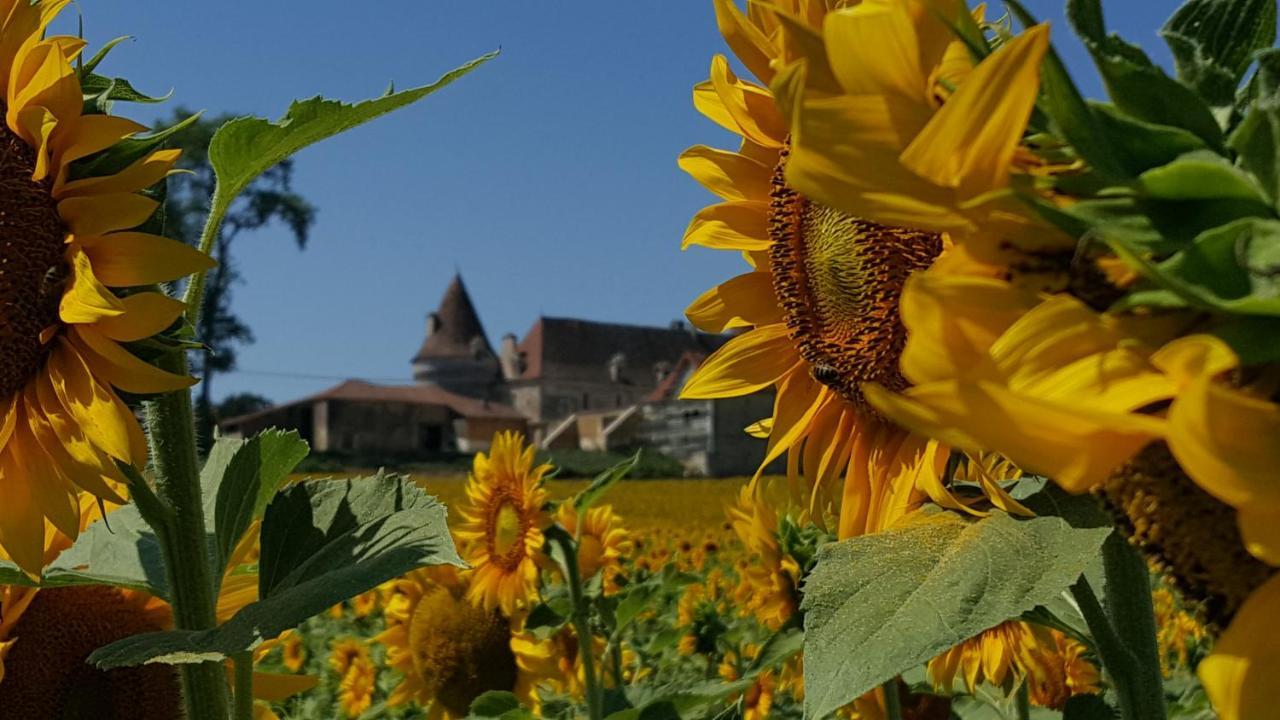 Lpc Dordogne Holidays - Le Petit Coin Lussas-et-Nontronneau Exterior foto